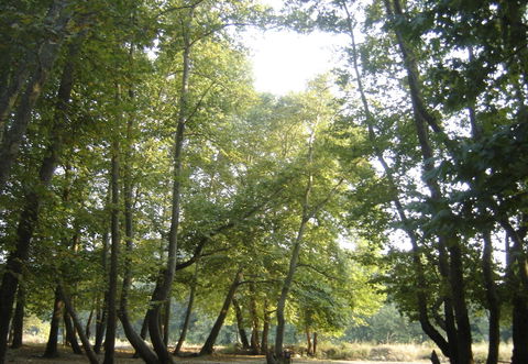 Neokaisareia view 2