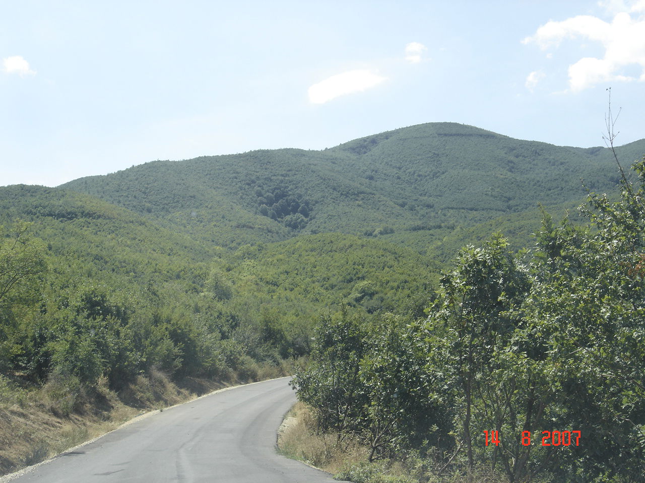 Elafos view 2