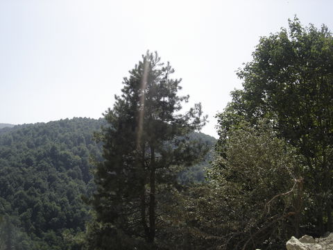 Fteri view 1