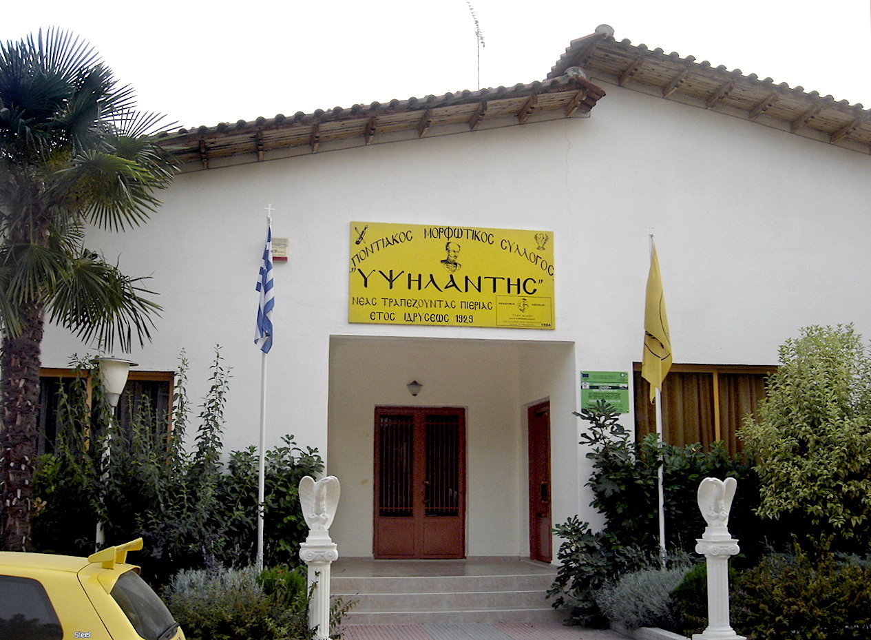 Nea Trapezounta district