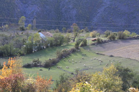 Bushtricë view 2