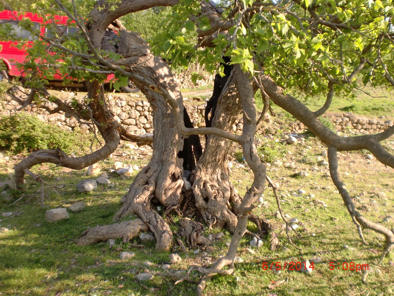 Shtiqën district