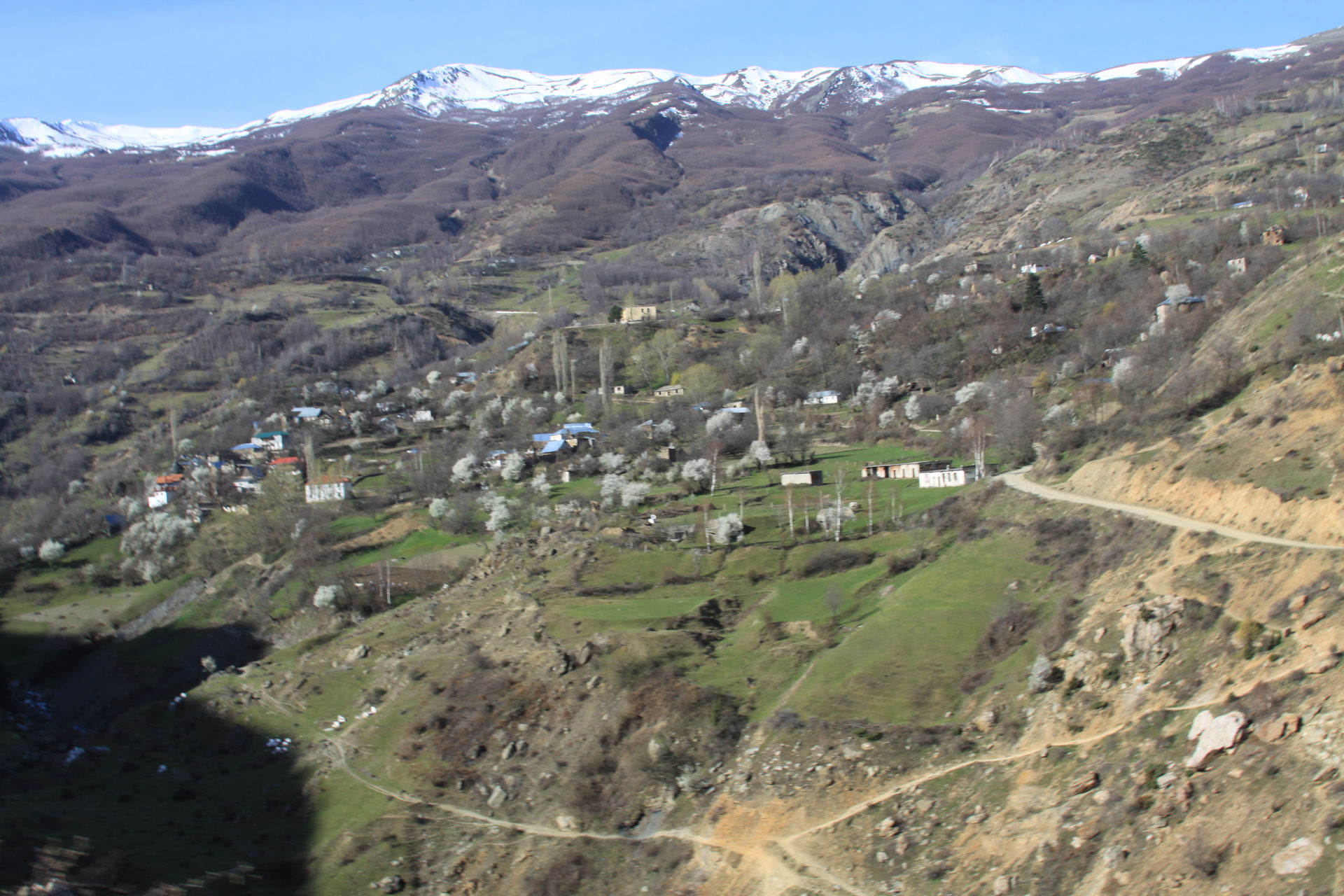 Topojan view 2