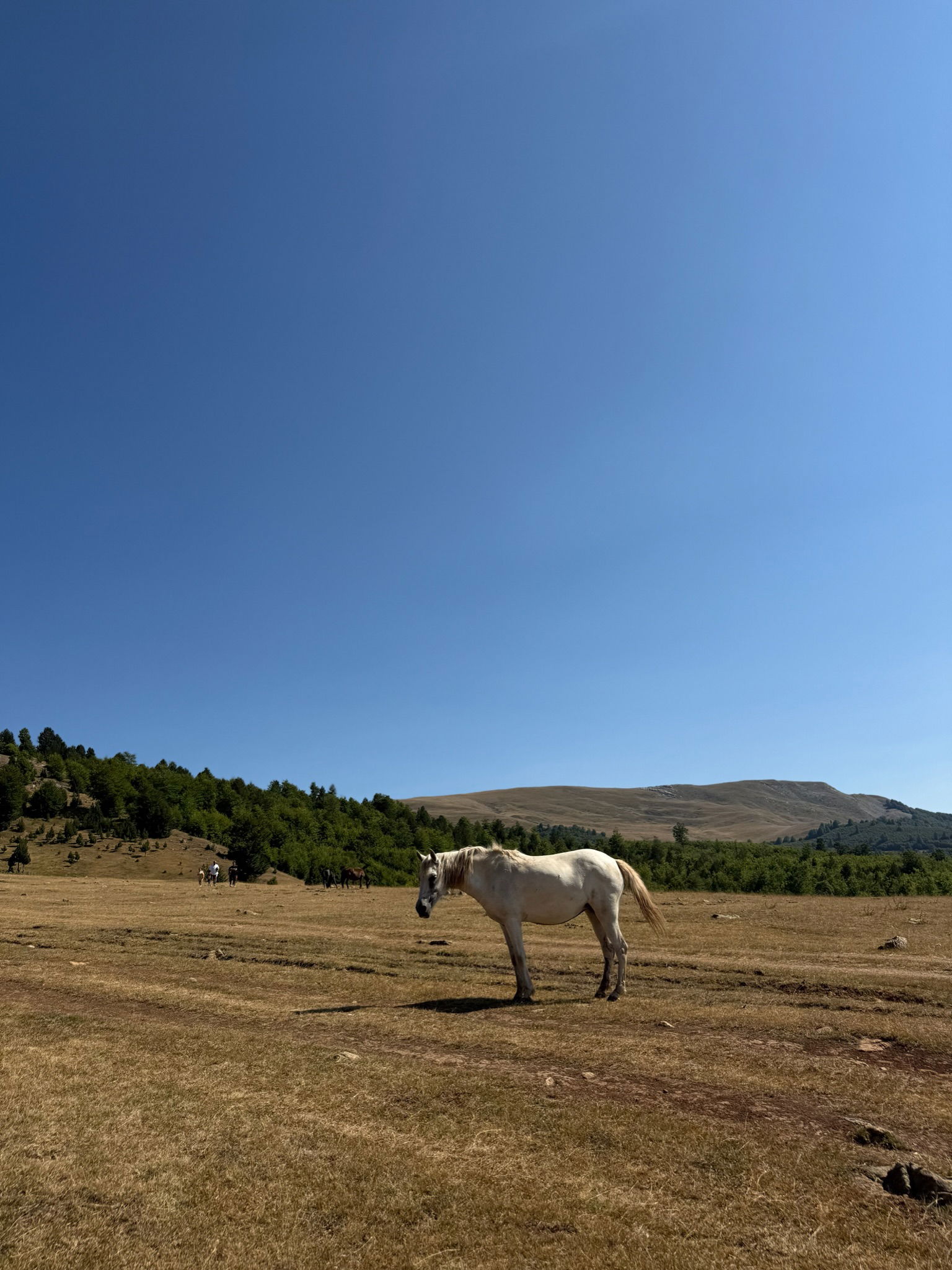 Lënie view 1