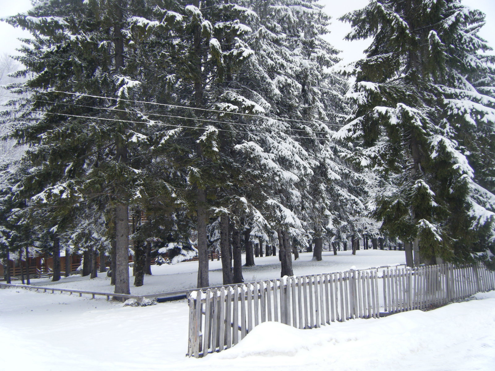 Bajram Curri district