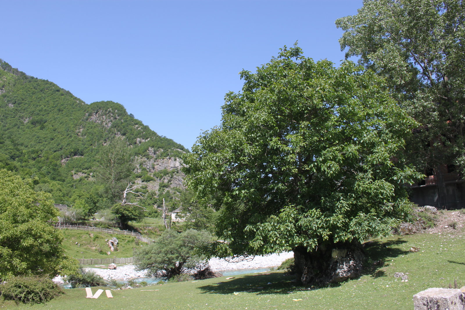 Margegaj district