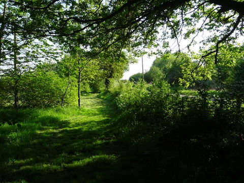 Rural Periphery view 1