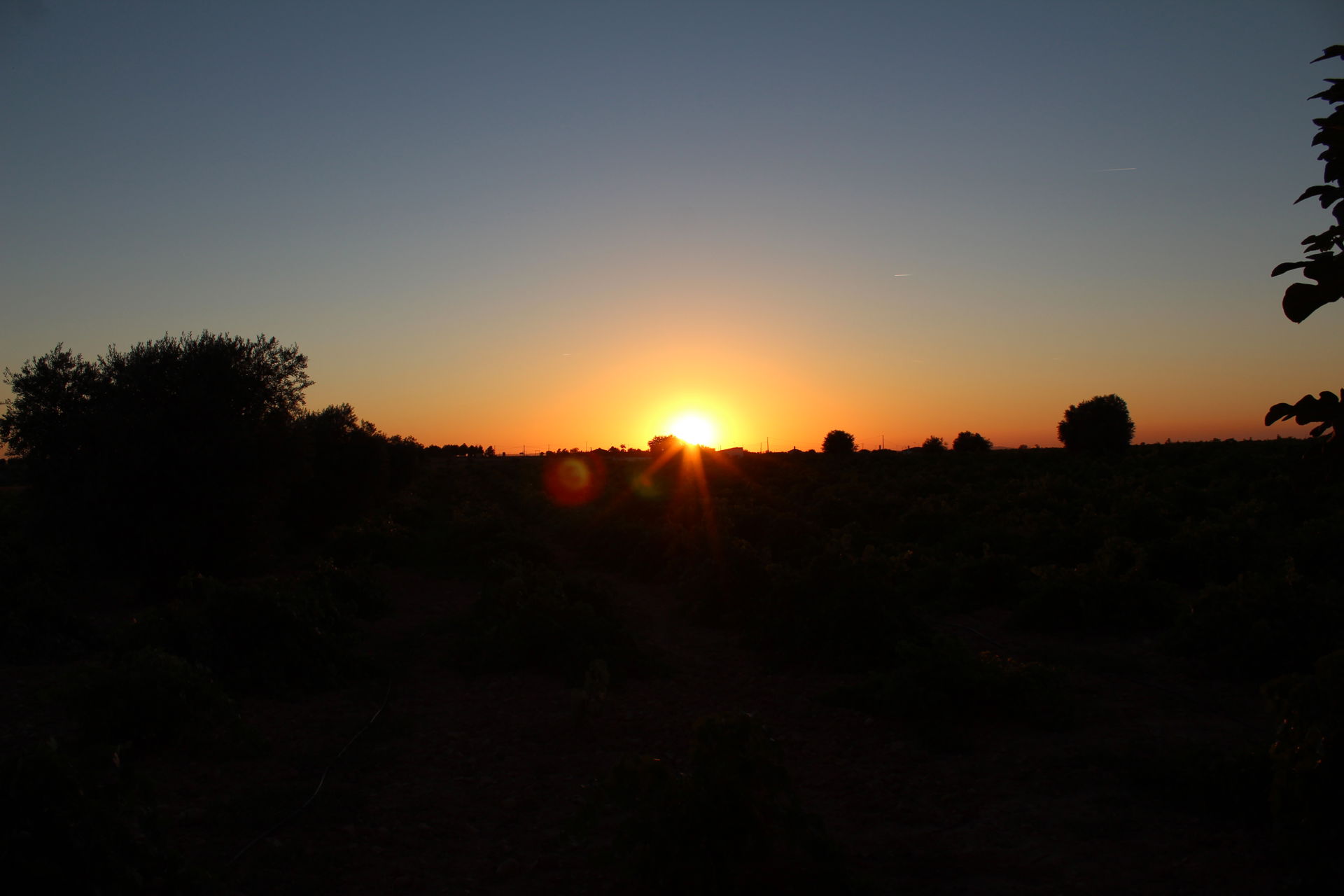 La Orden view 5