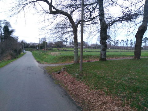 A Sionlla view 2