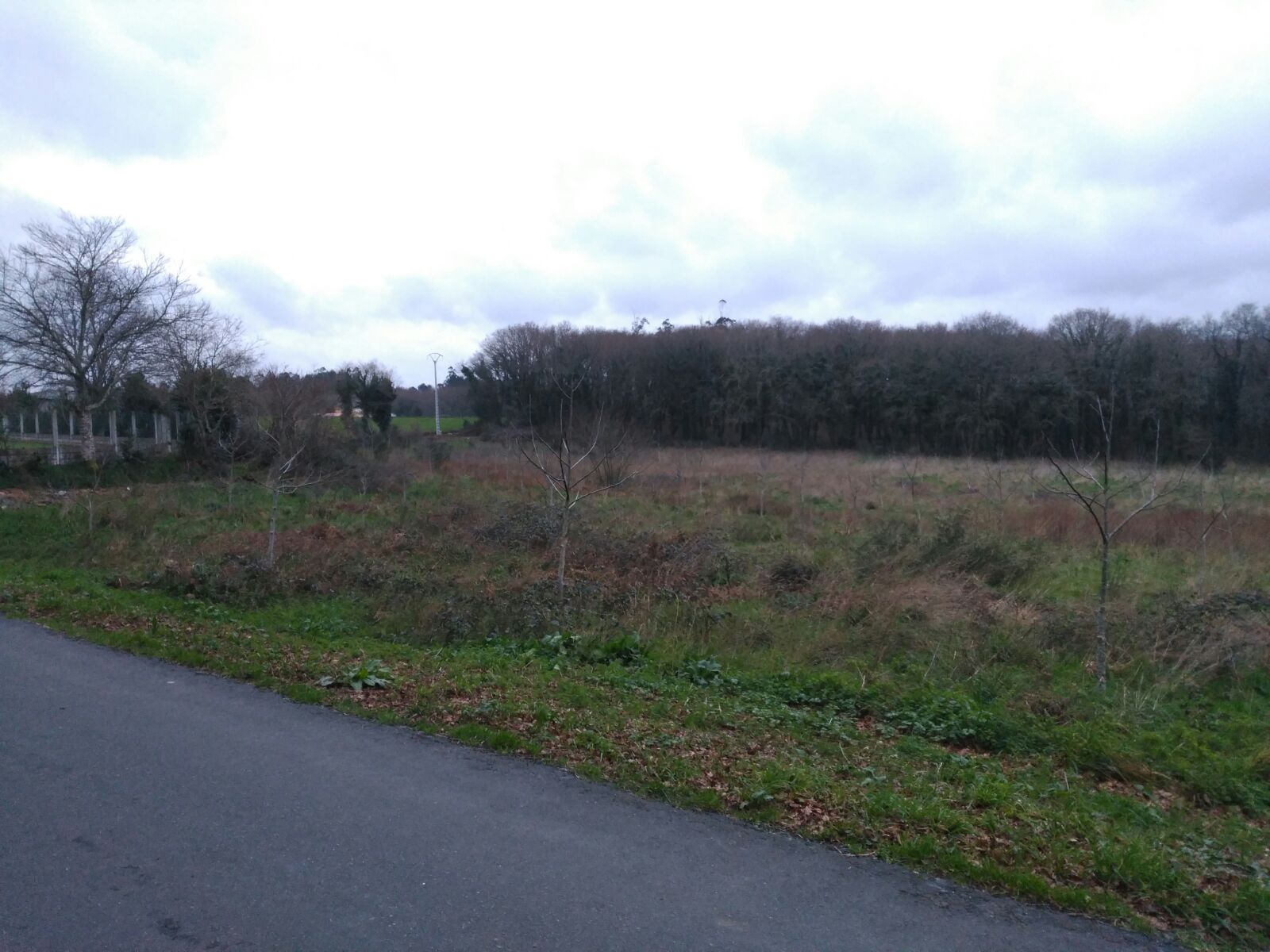 A Sionlla view 3