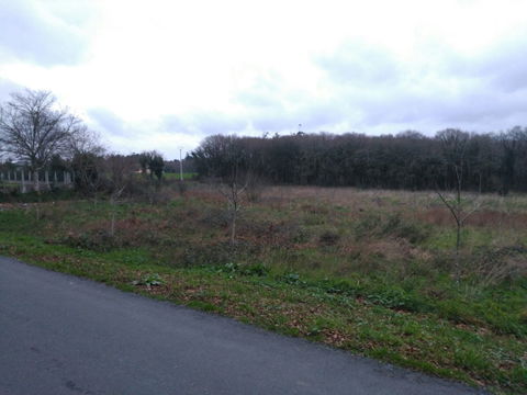 A Sionlla view 3