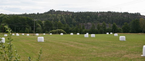 Kasberget view 2