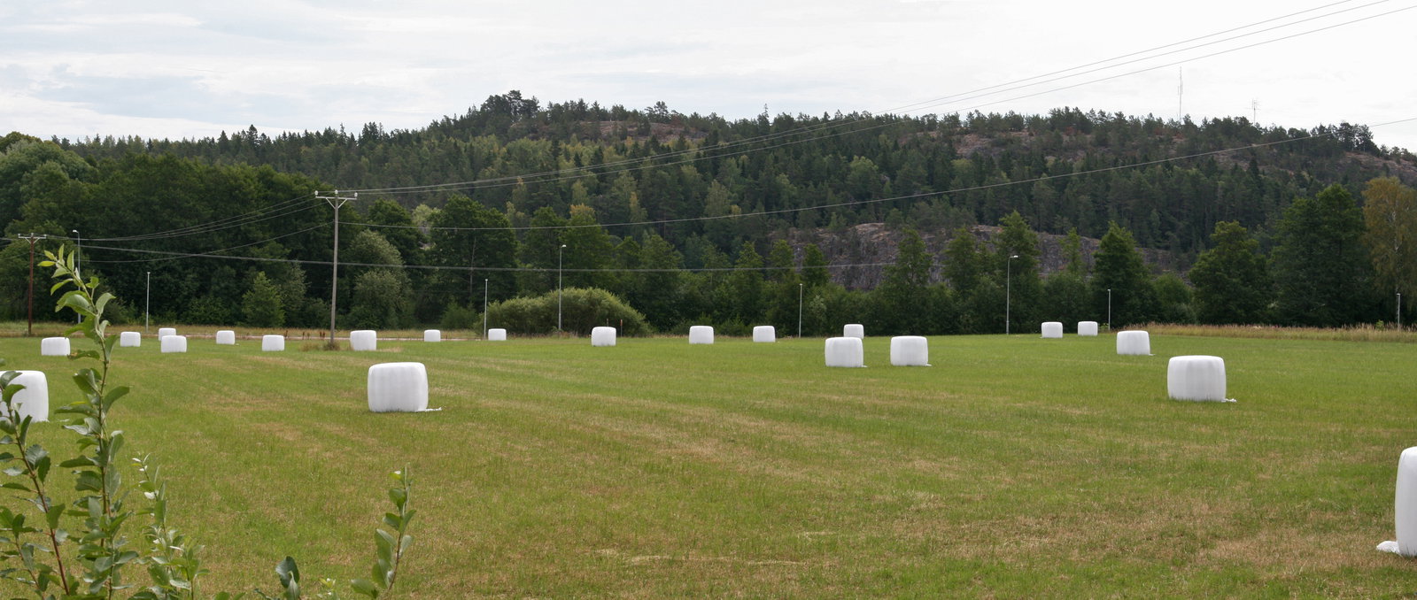 Kasberget district