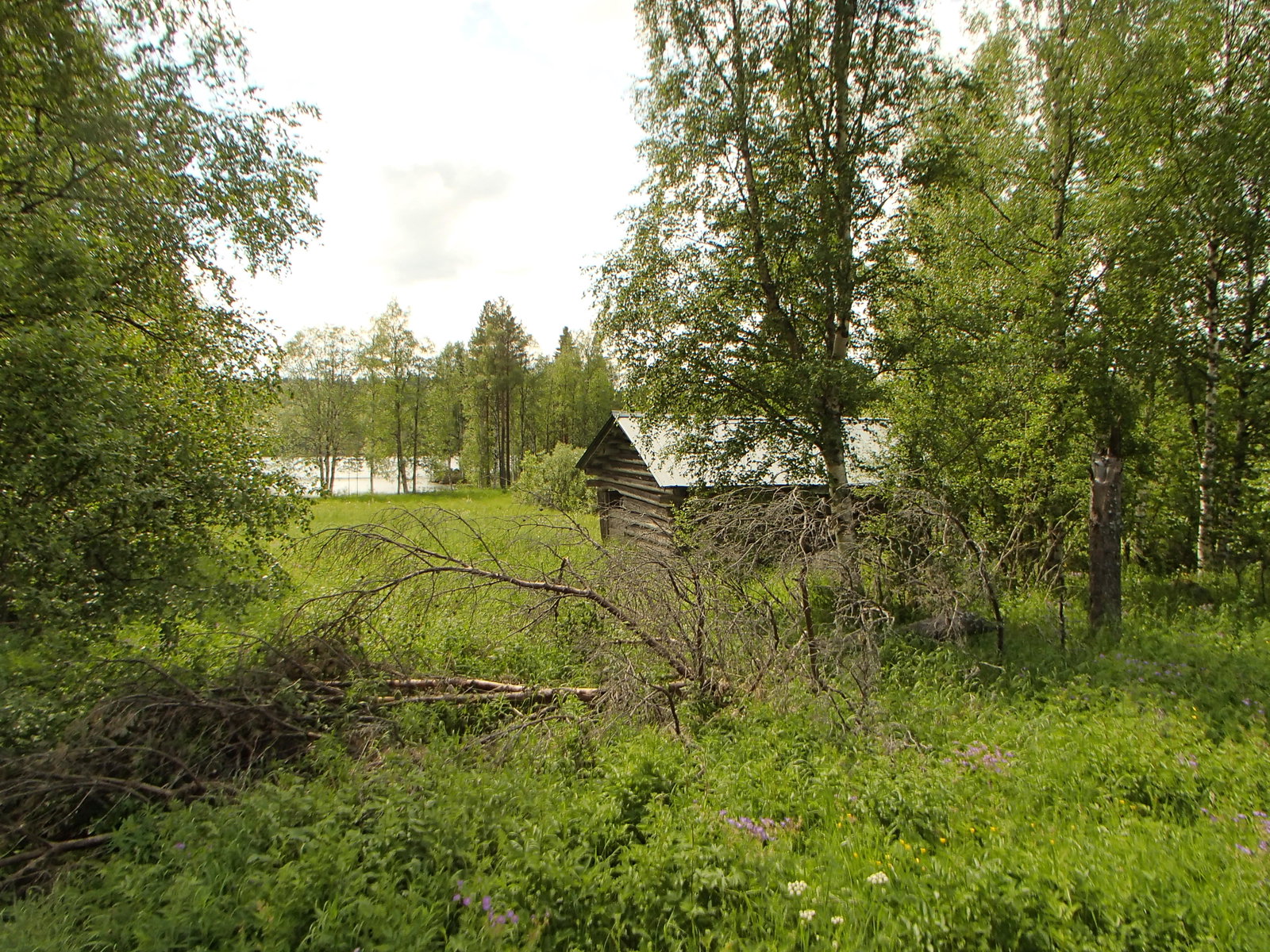 Norrböle district