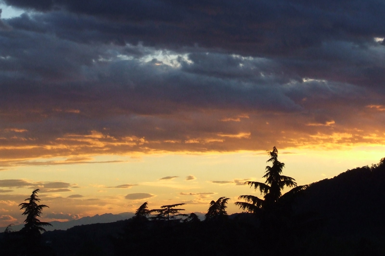 Campagnuzza district