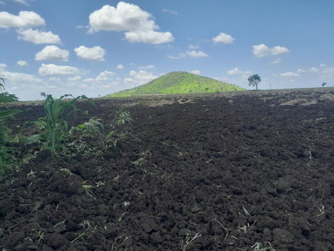 Agricultural Area view 1