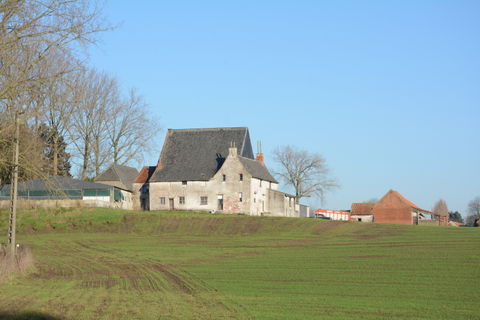 Agricultural Area view 3