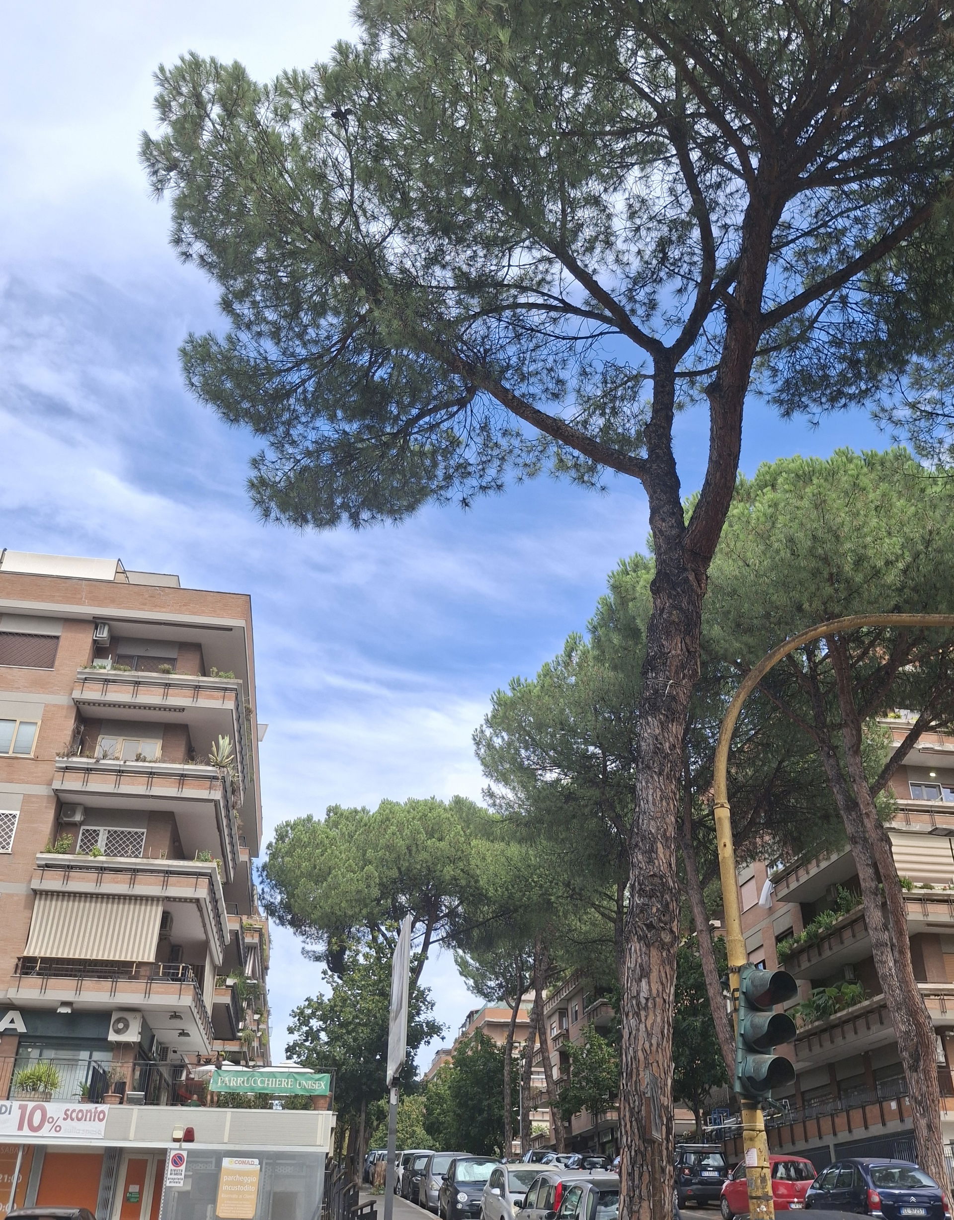 Colleverde view 2
