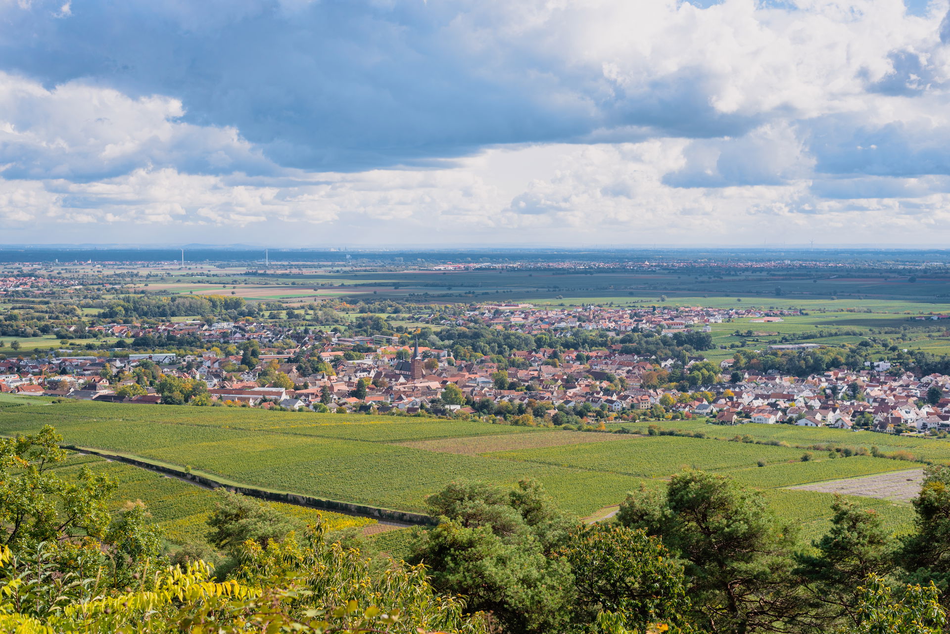 Deidesheim view 2