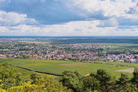 Deidesheim view 2