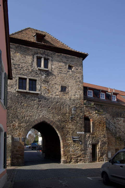 Freinsheim view 2