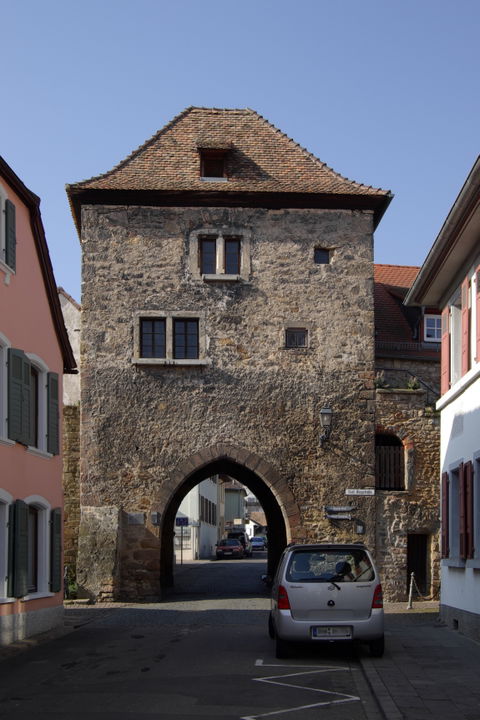Freinsheim view 3