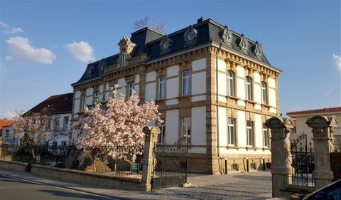 Wachenheim view 3