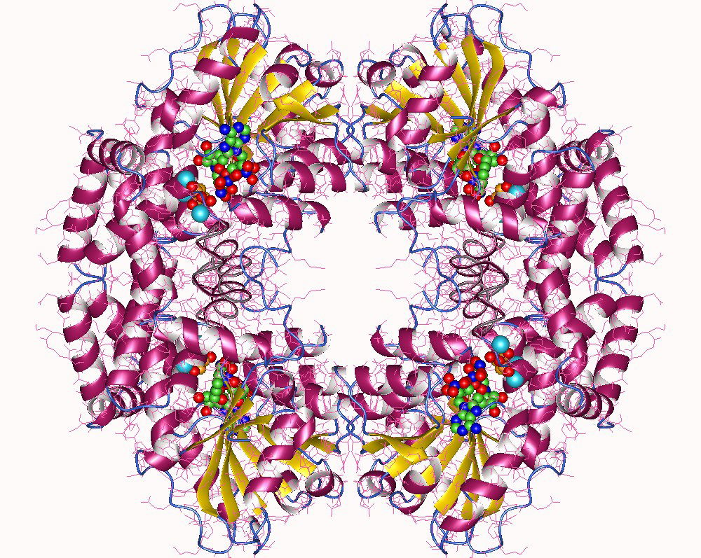 Ketol view 2