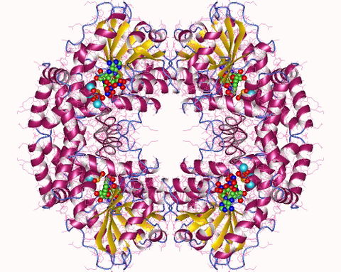 Ketol view 2