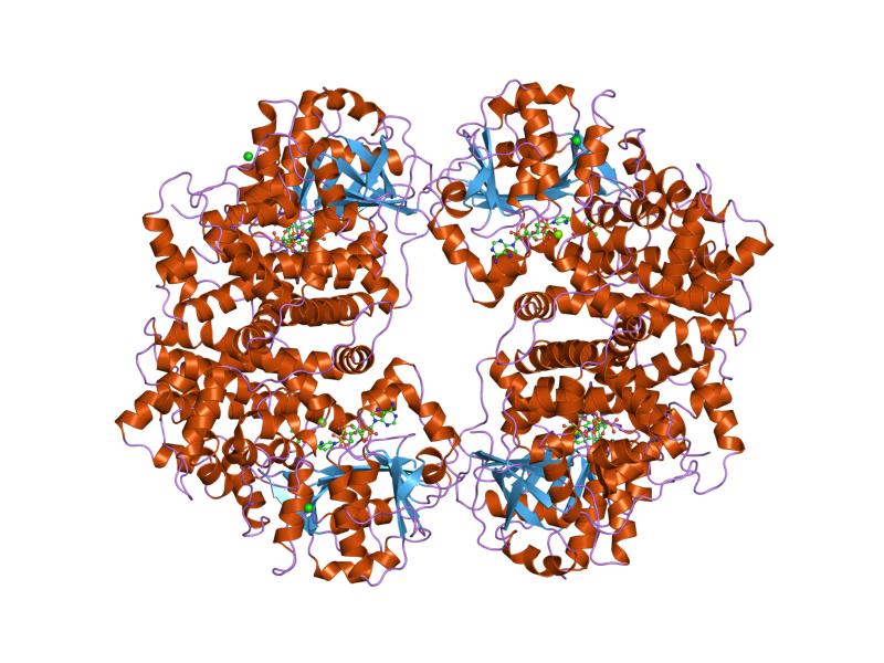 Ketol view 4