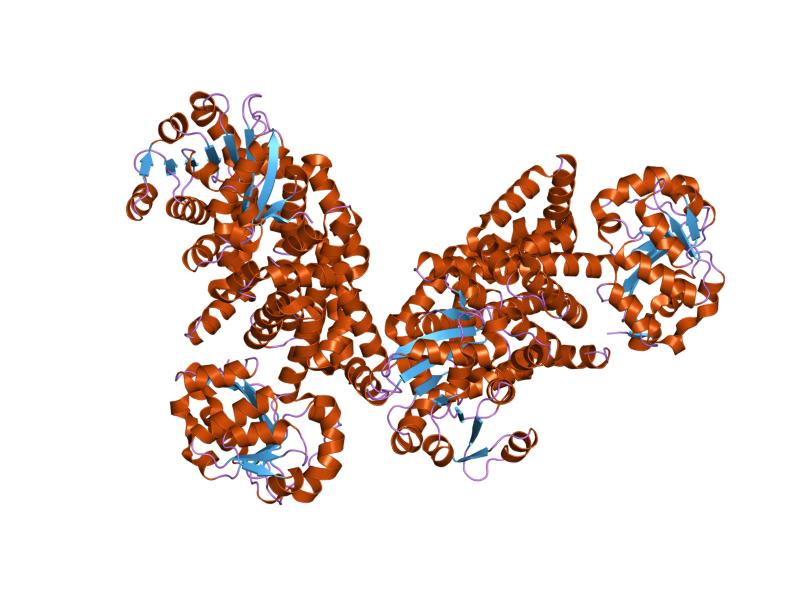 Ketol view 5