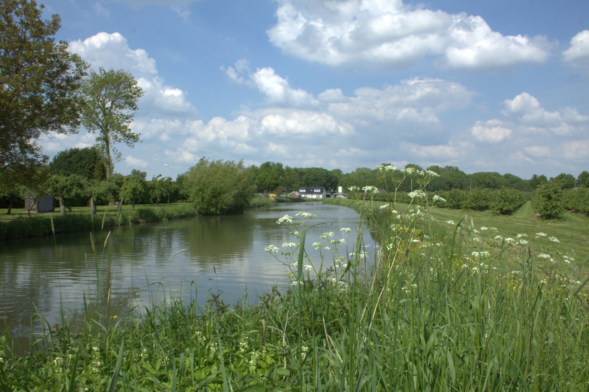 Linge view 4