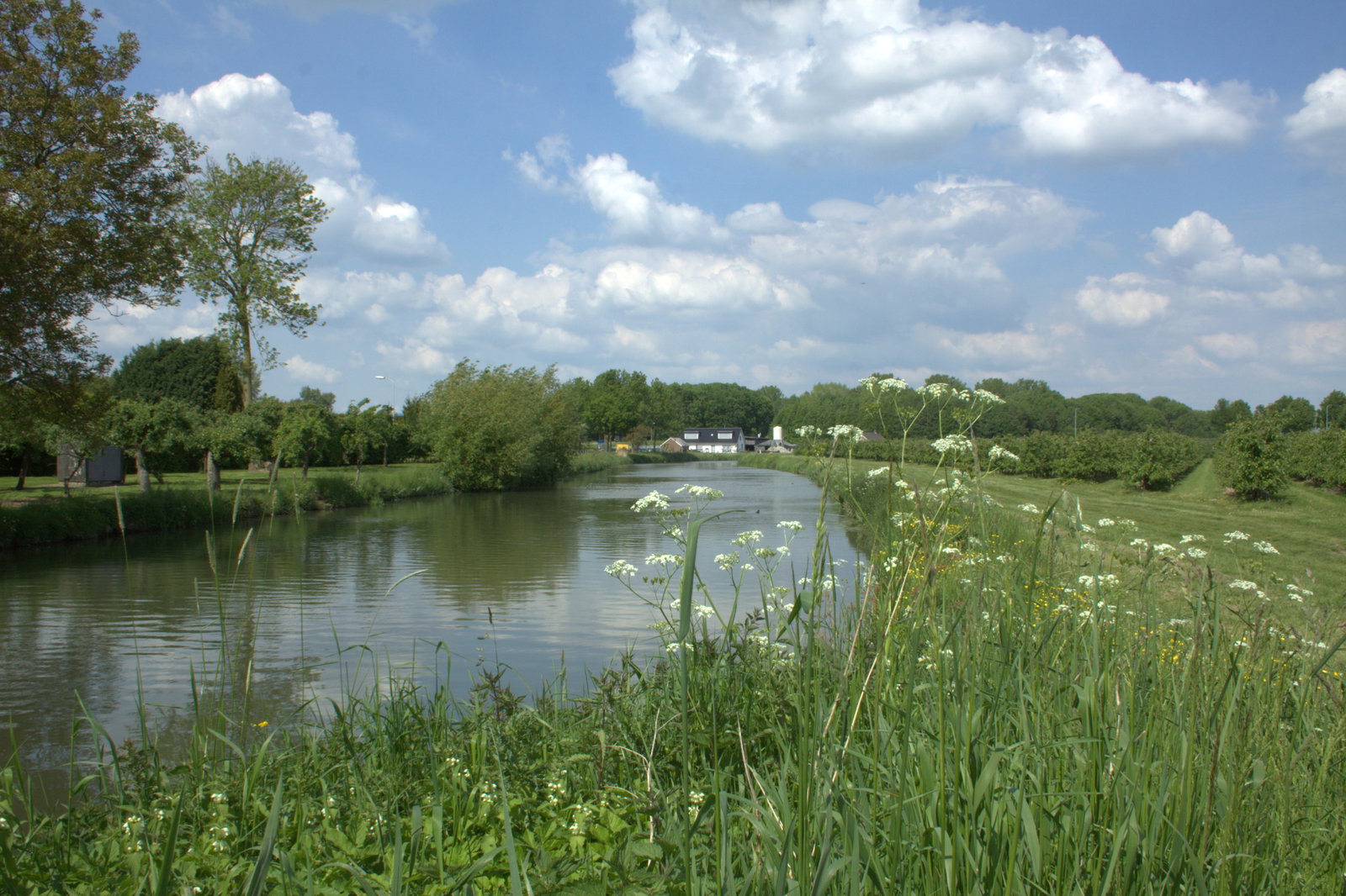 Linge district