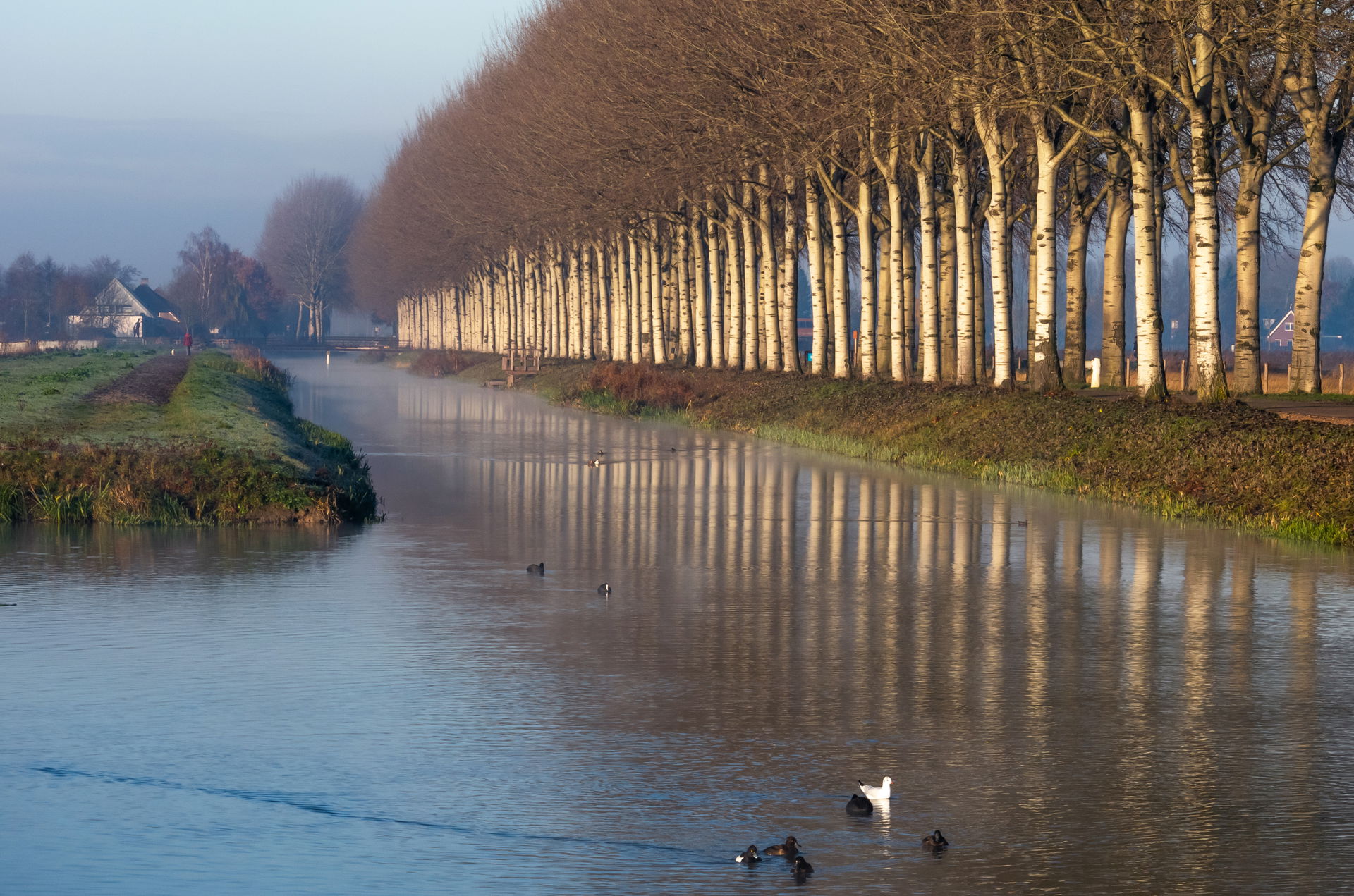 Linge view 3