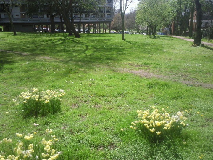 Alton Estate district