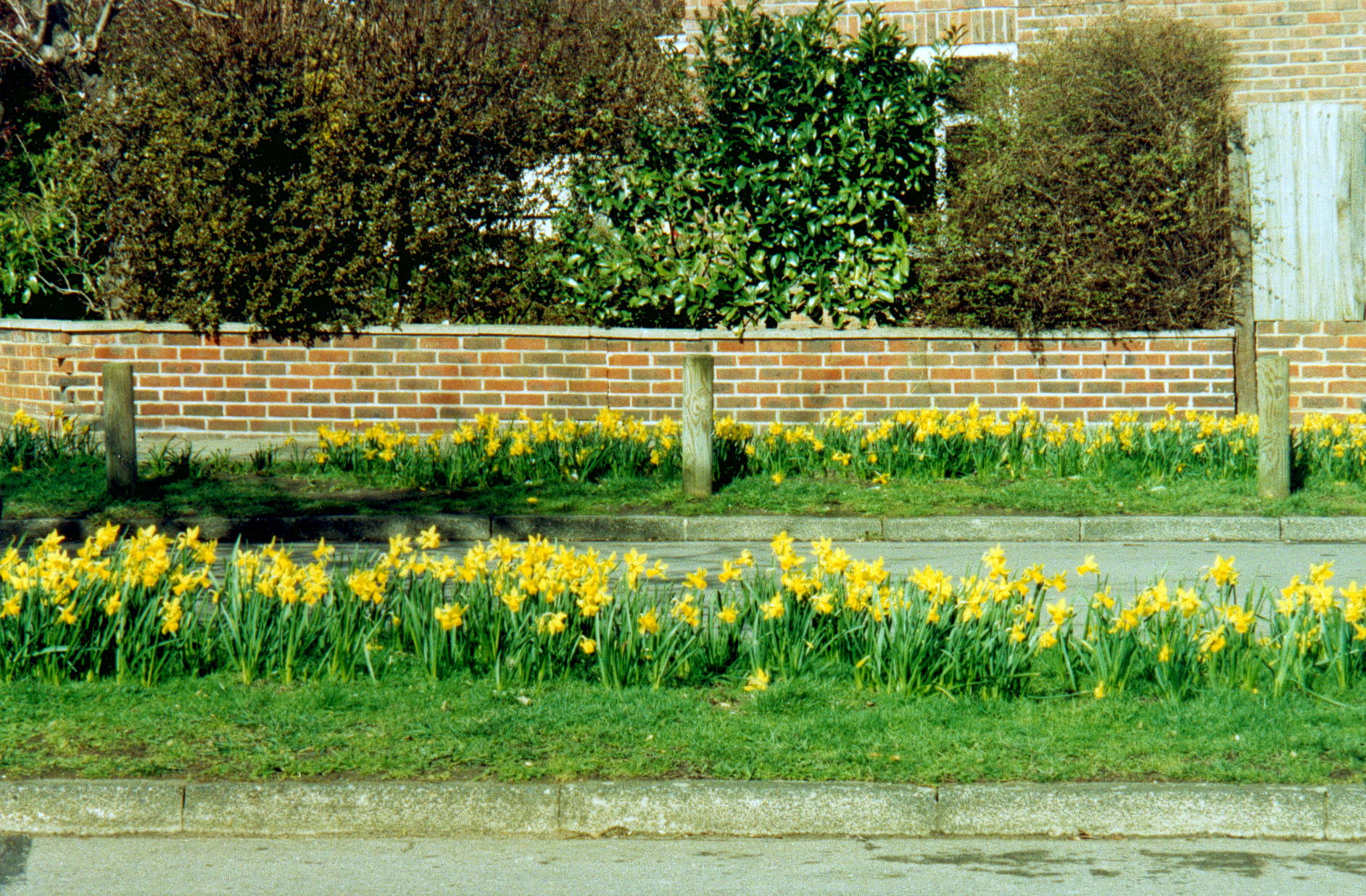 Kingston Vale view 4