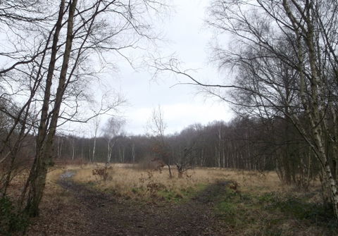 Putney Heath view 1