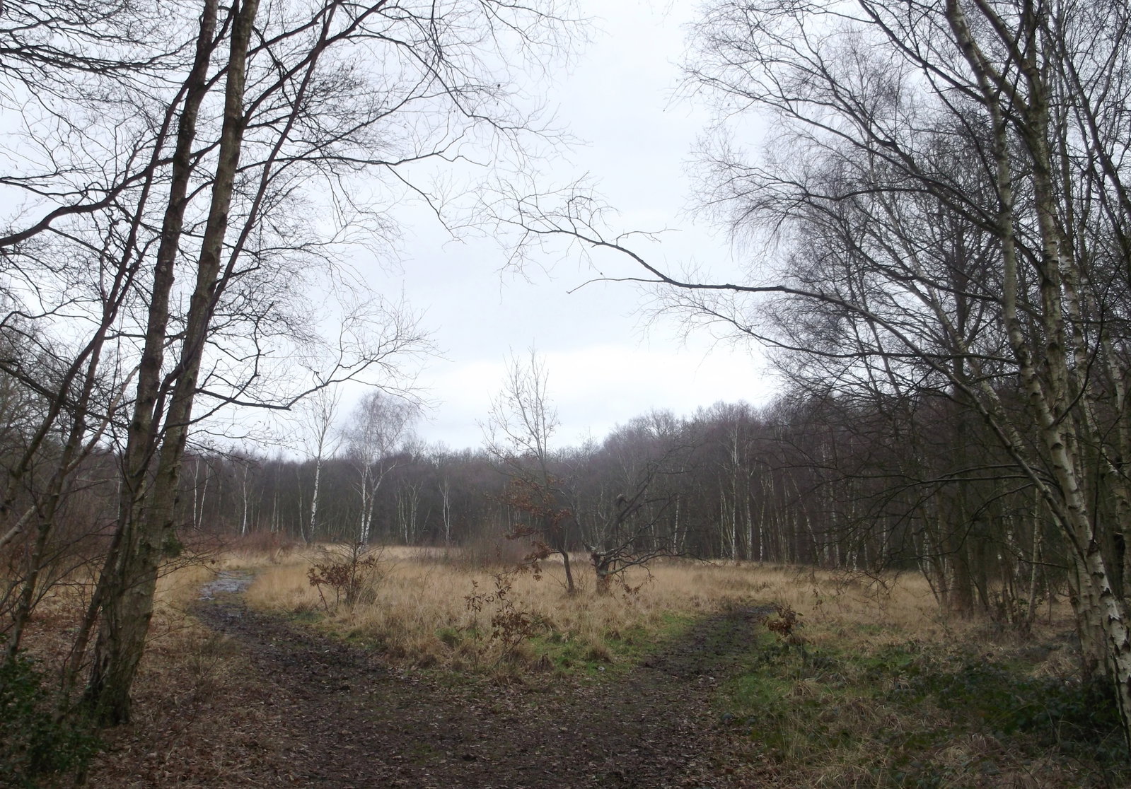 Putney Heath district