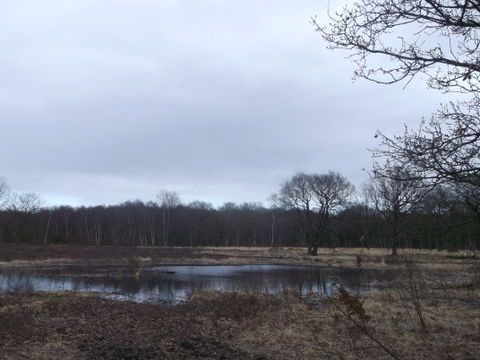 Putney Heath view 2
