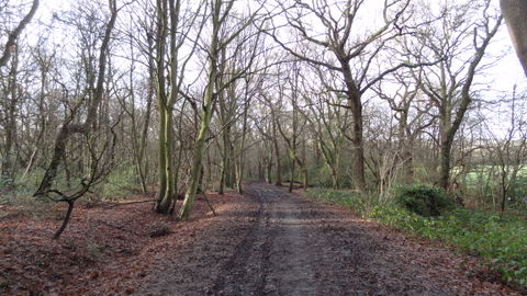 Putney Heath view 3
