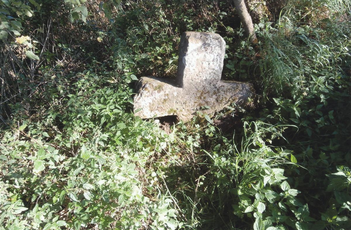 Poliçan district