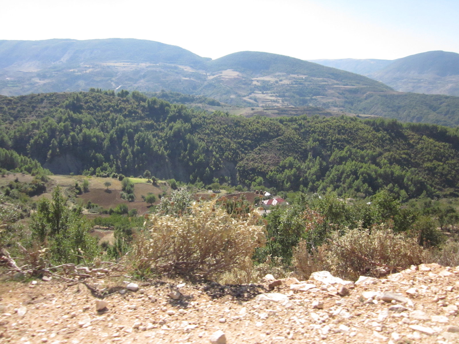 Tërpan district