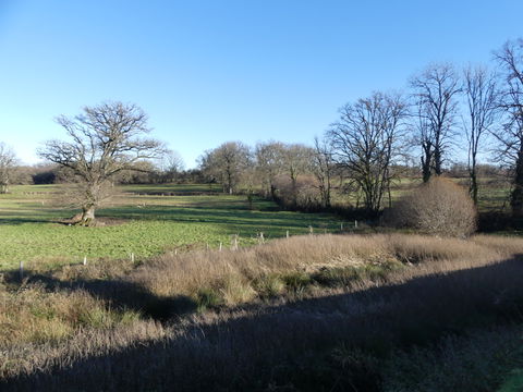 Mollas view 1