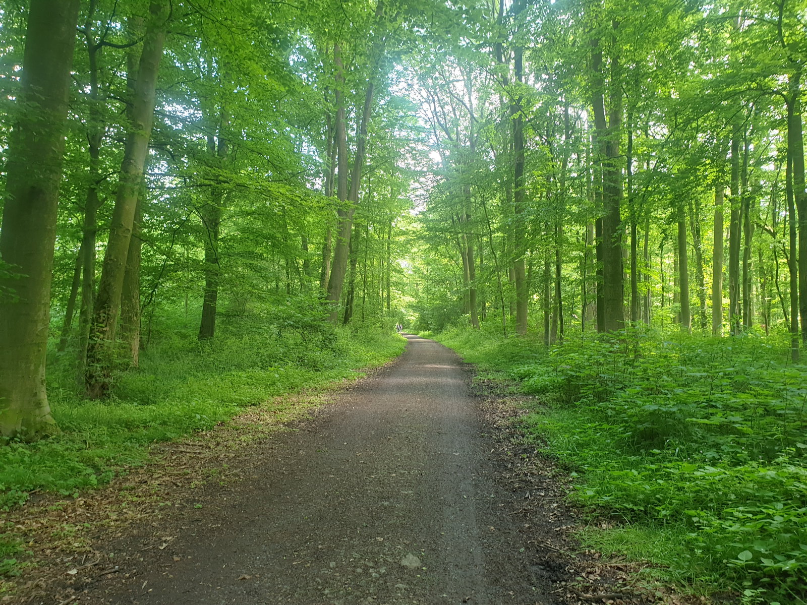 Tiergarten district