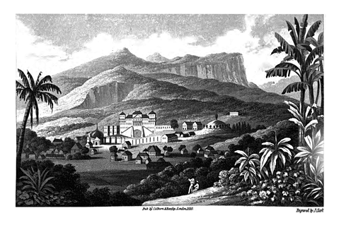 Milot view 2