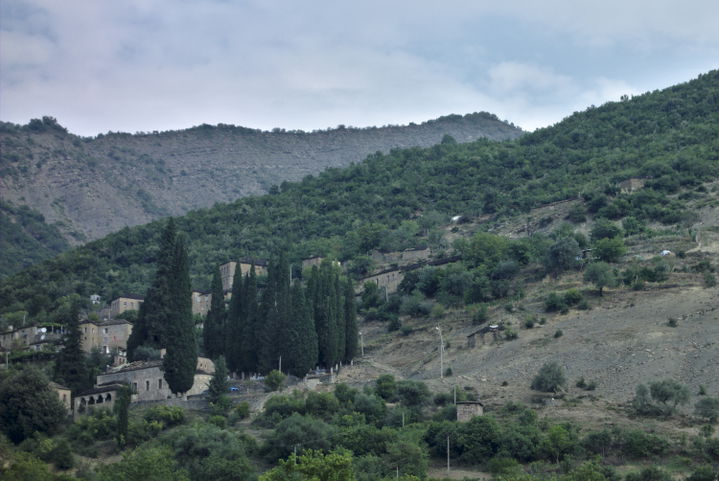 Novoselë district