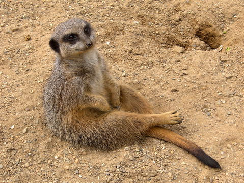 Zoo view 3