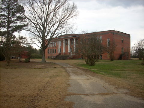 Linden view 3