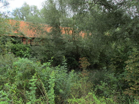 Limmer view 3