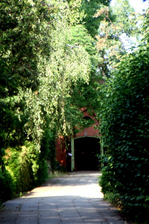 Alt Olvenstedt view 2